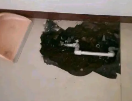 北川卫生间测漏水多少钱